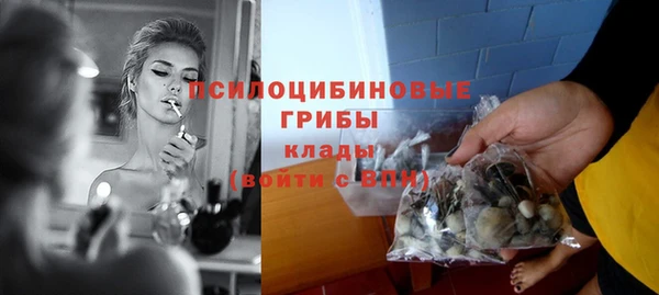 a pvp Беломорск