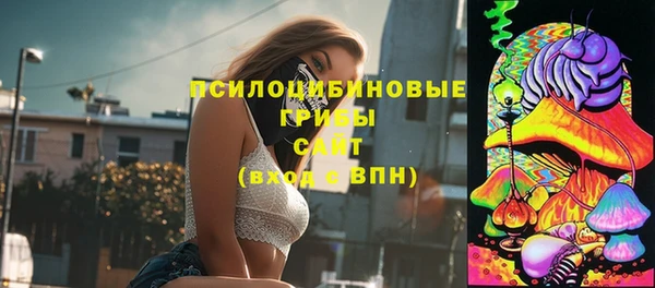 дживик Белоозёрский