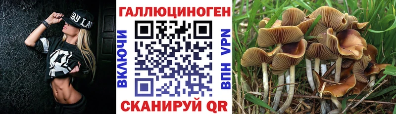 Псилоцибиновые грибы GOLDEN TEACHER  закладки  OMG как войти  Окуловка 
