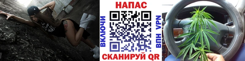Бошки Шишки гибрид  Окуловка 